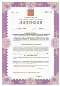 Лицензия Лист 1